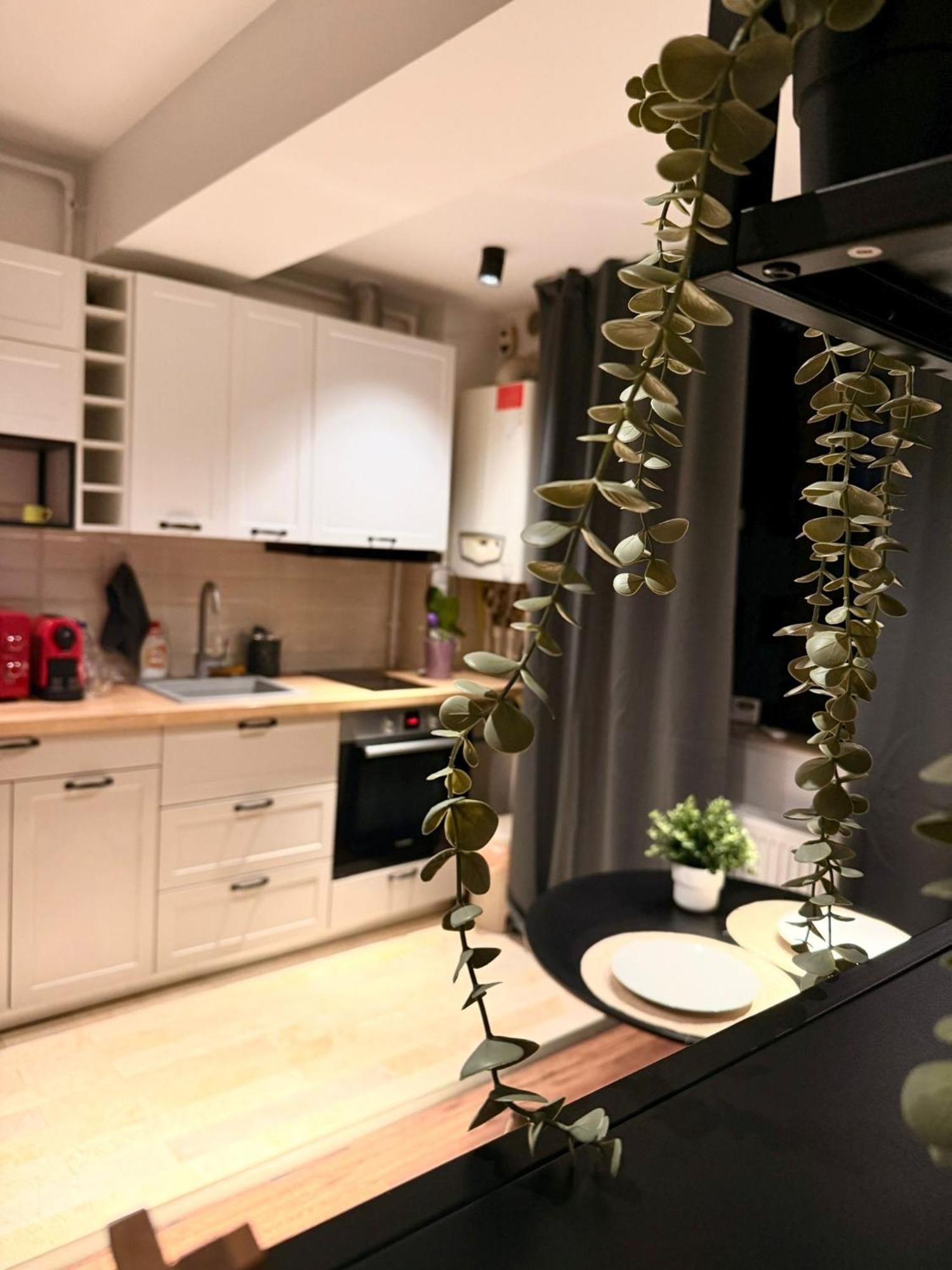 Cozy Apartment With Self Check-In Near Promenada Mall And Verdi Park 布加勒斯特 外观 照片